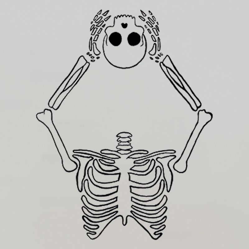 CALAVERA